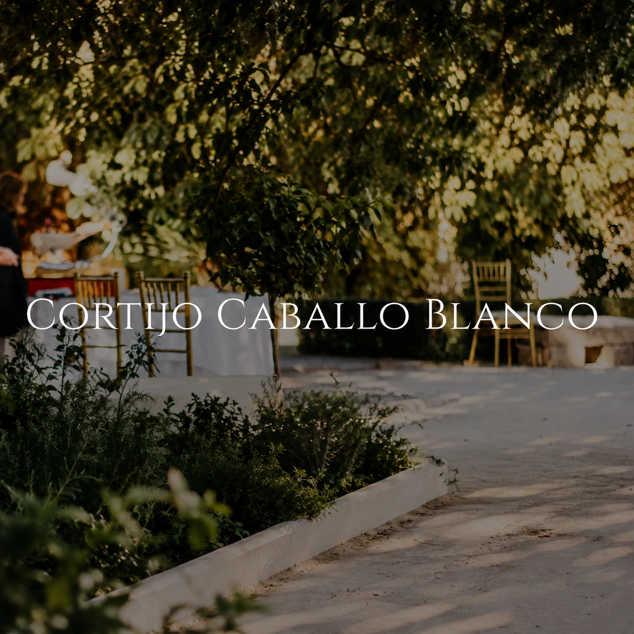 Cortijo Caballo Blanco